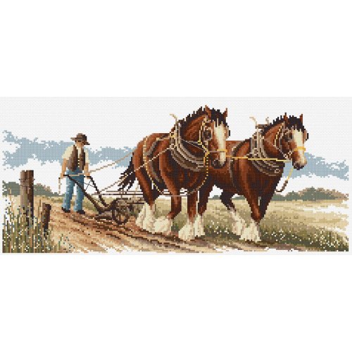 (image for) Clydesdales